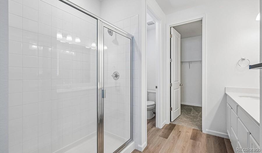 MLS Image #16 for 6407  ankina drive,windsor, Colorado