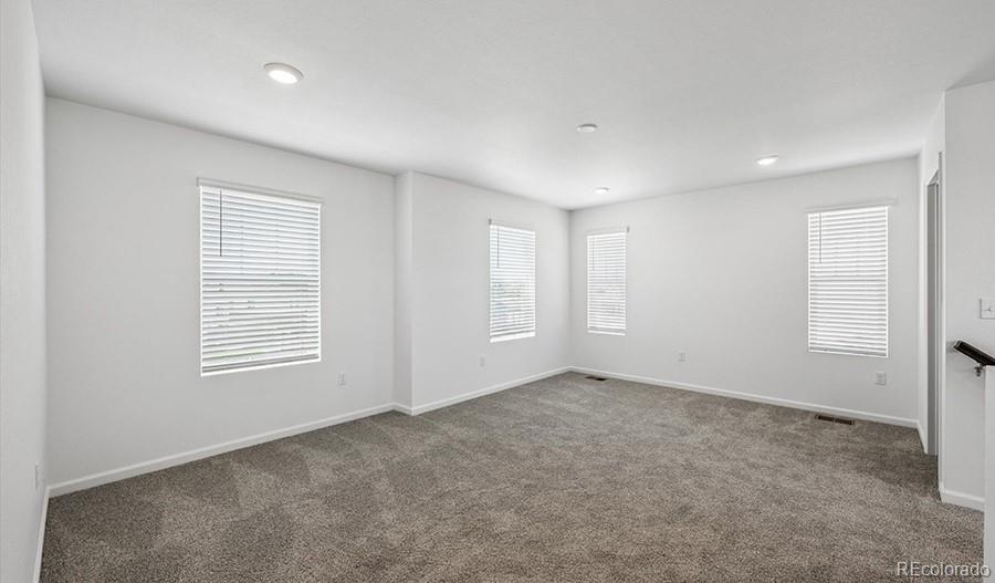 MLS Image #18 for 6407  ankina drive,windsor, Colorado