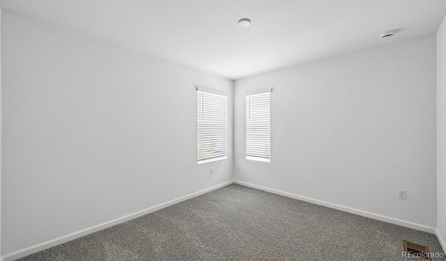 MLS Image #19 for 6407  ankina drive,windsor, Colorado