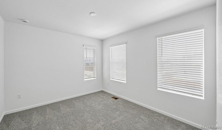 MLS Image #21 for 6407  ankina drive,windsor, Colorado