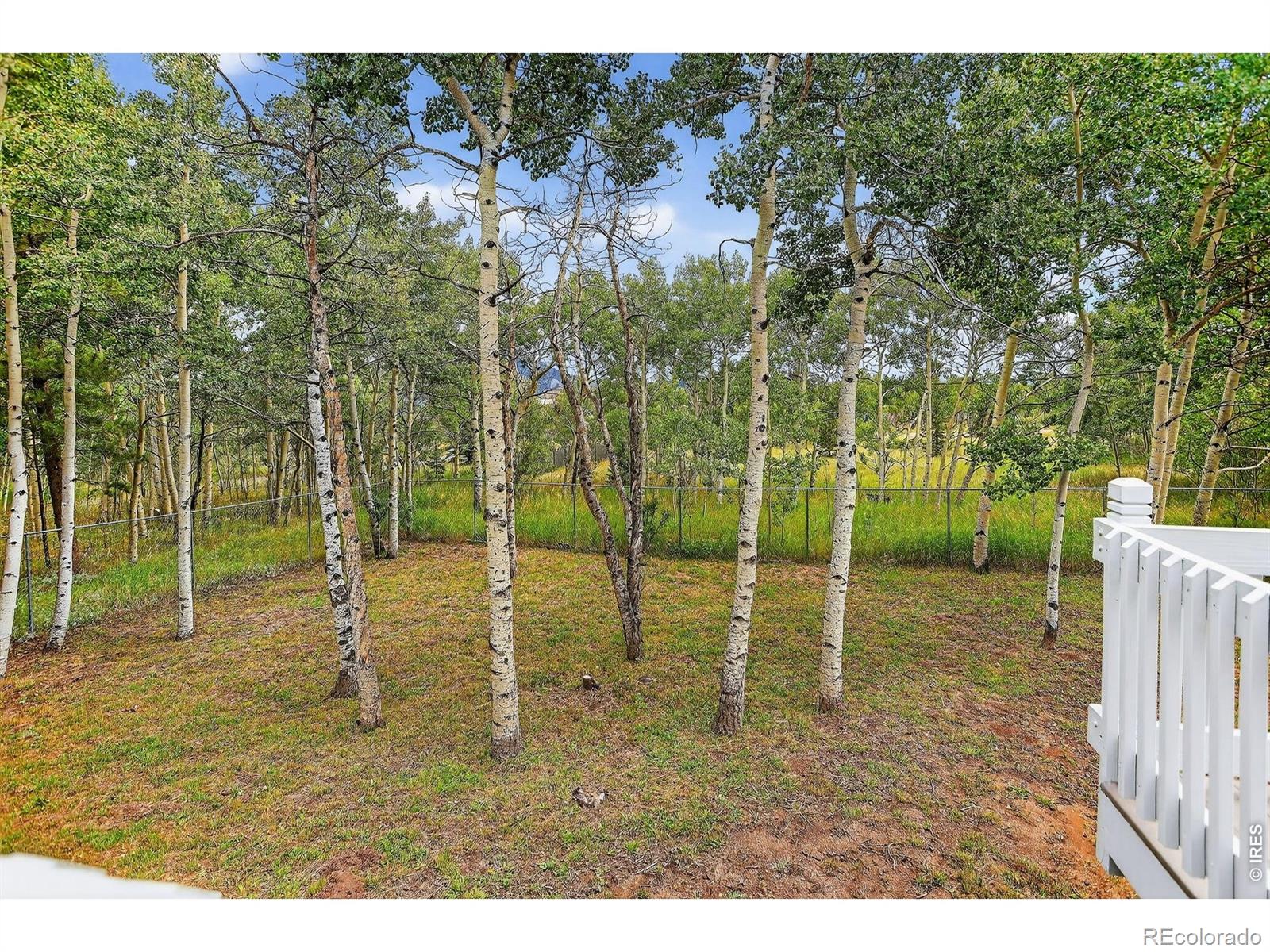 MLS Image #39 for 233  deer circle,black hawk, Colorado