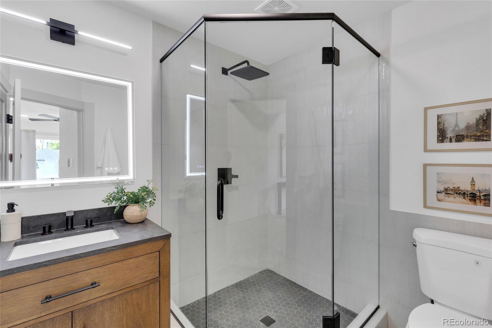MLS Image #12 for 2935  webster street,wheat ridge, Colorado