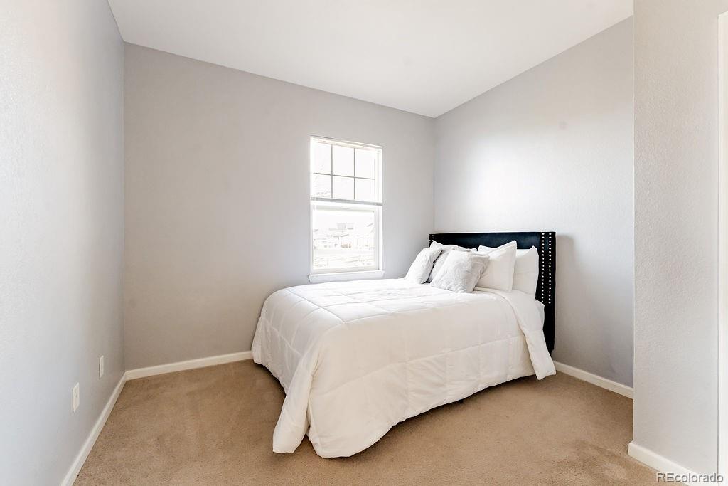 MLS Image #22 for 3887  ute mountain trail,castle rock, Colorado