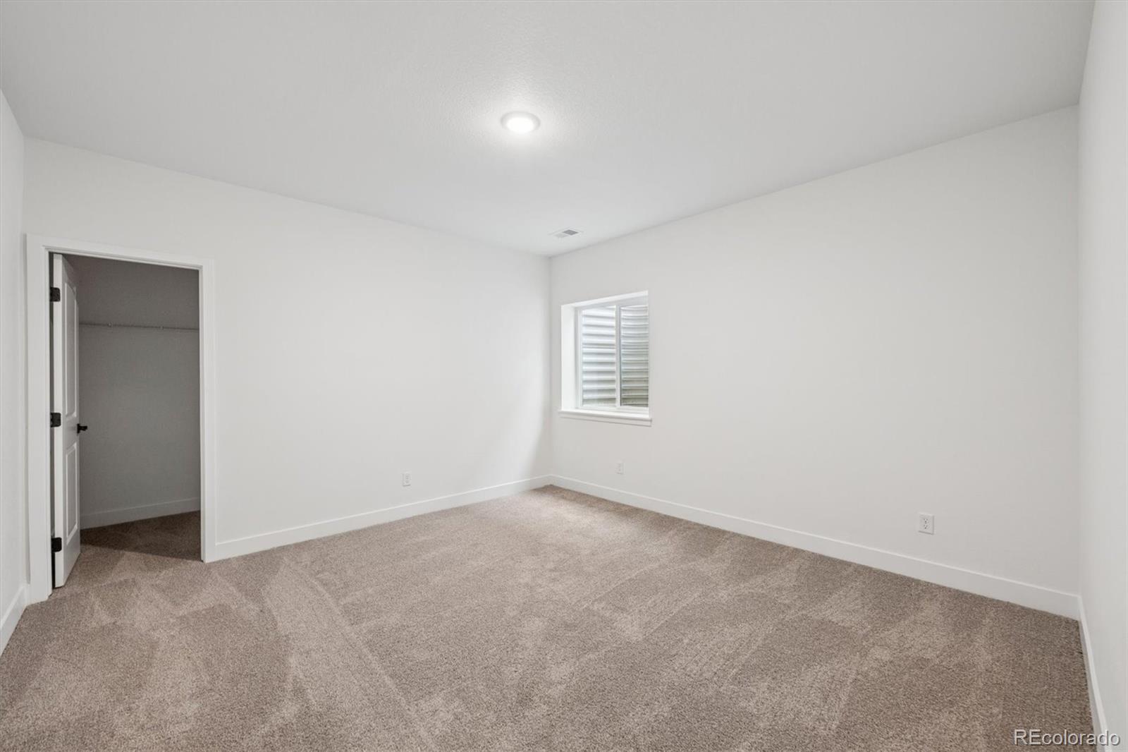 MLS Image #21 for 3771  emerald shore circle,loveland, Colorado