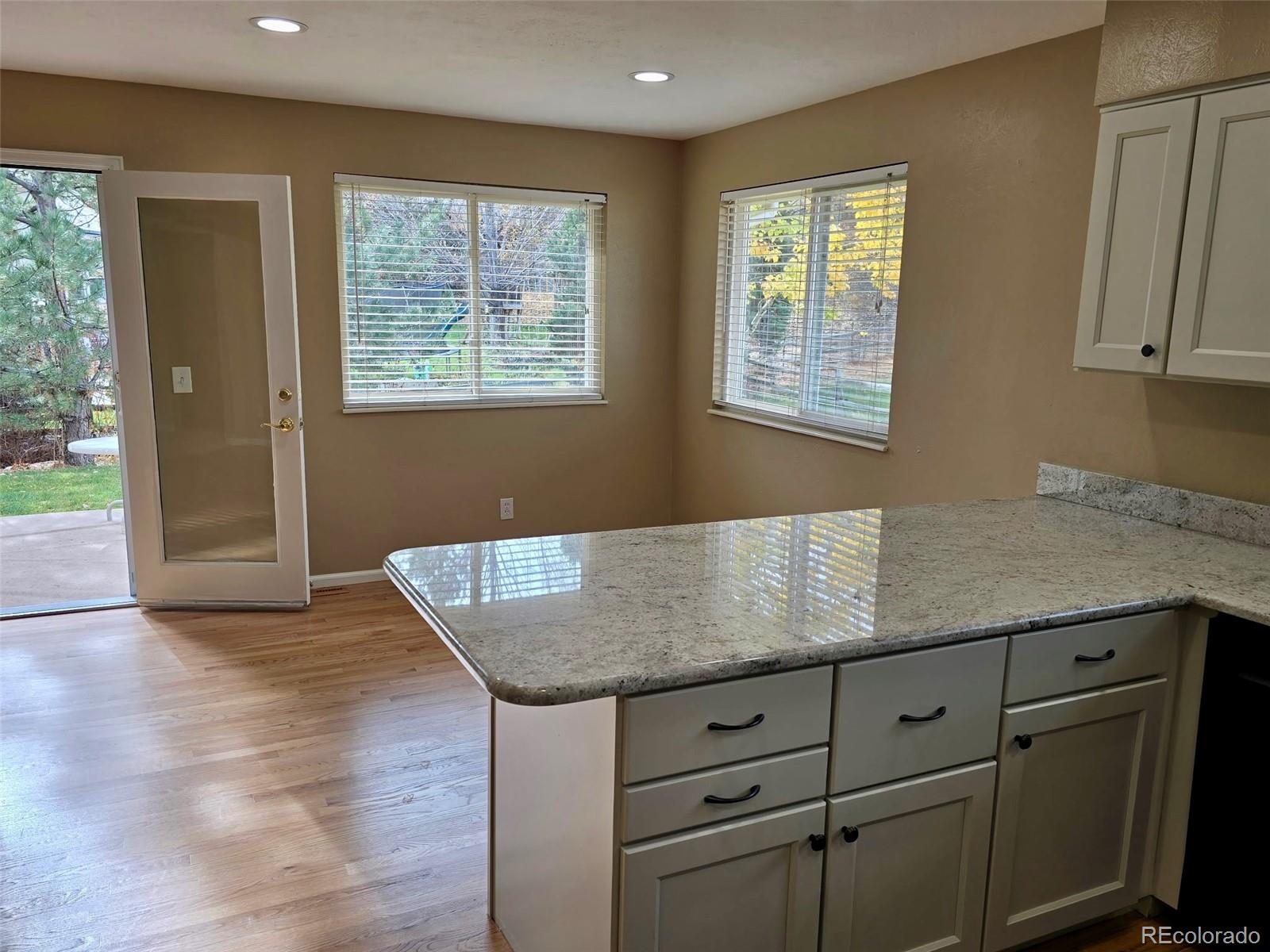 MLS Image #10 for 3750 e kettle avenue,centennial, Colorado