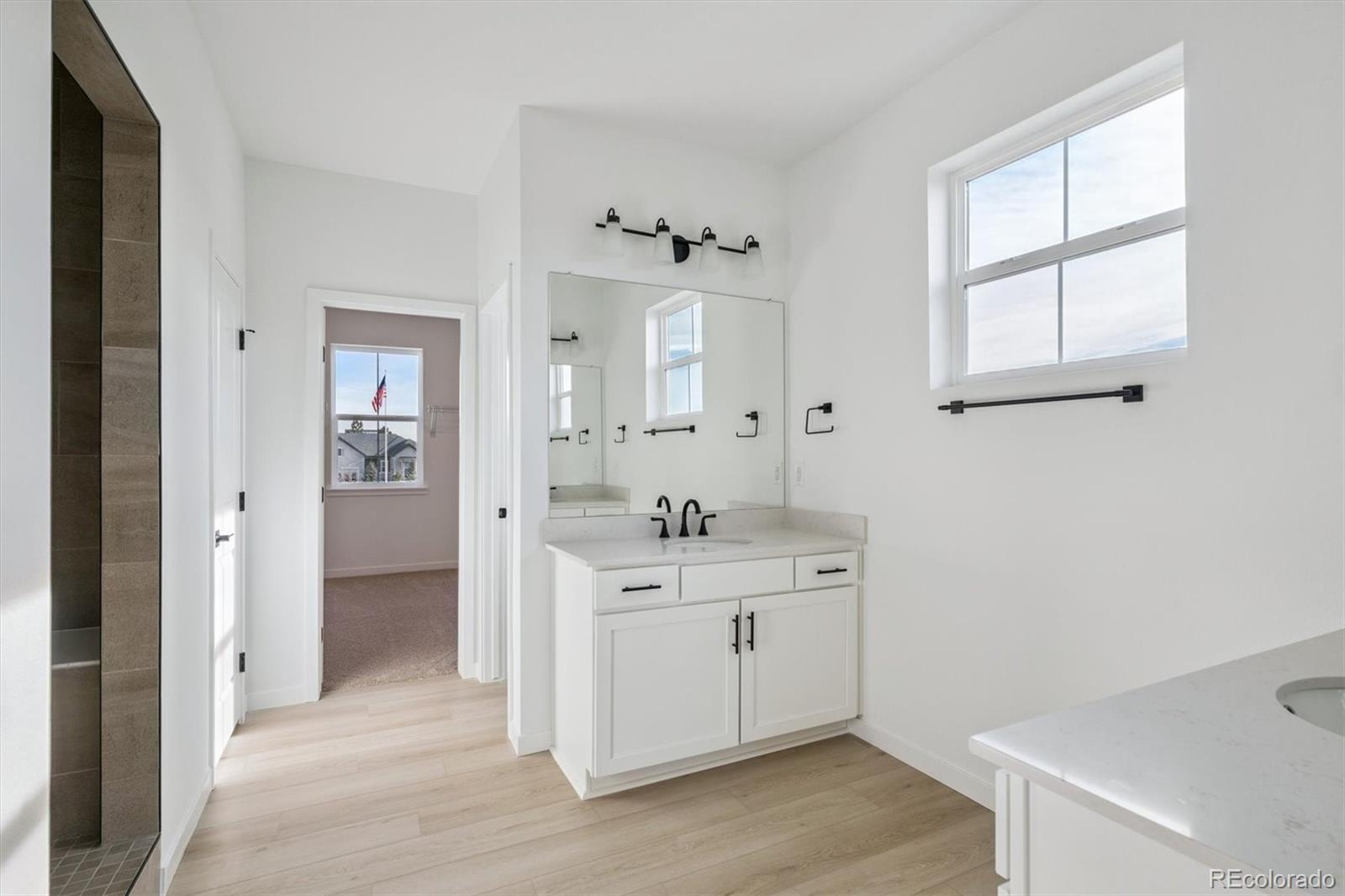 MLS Image #12 for 3801  emerald shore circle,loveland, Colorado
