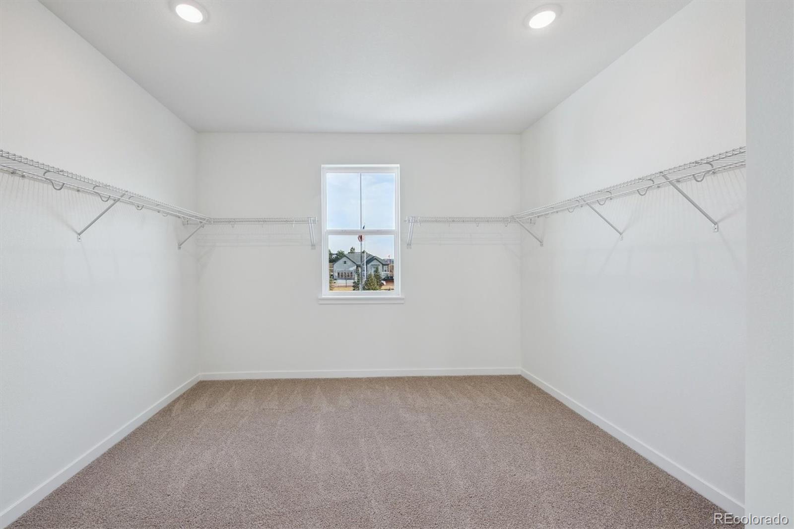 MLS Image #13 for 3801  emerald shore circle,loveland, Colorado
