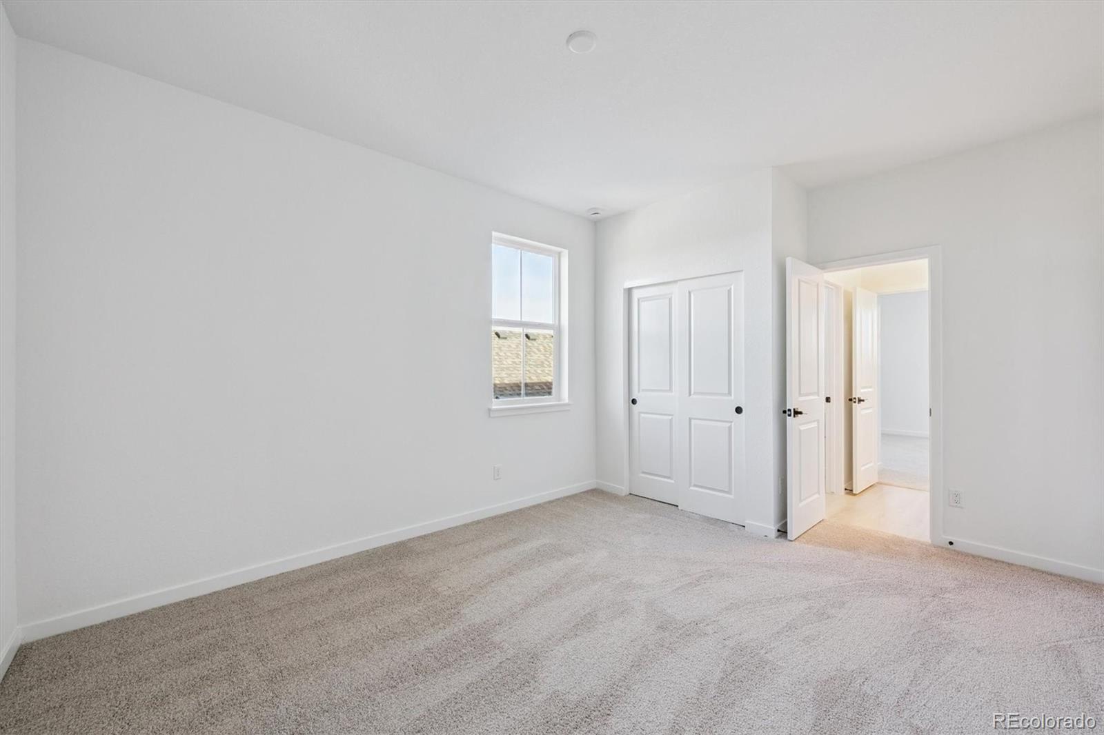 MLS Image #16 for 3801  emerald shore circle,loveland, Colorado