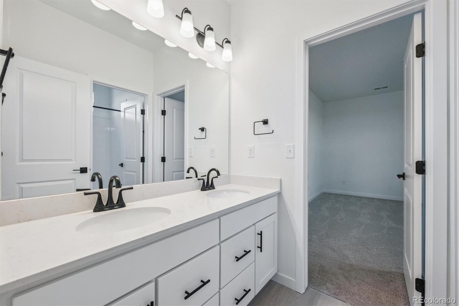 MLS Image #18 for 3801  emerald shore circle,loveland, Colorado