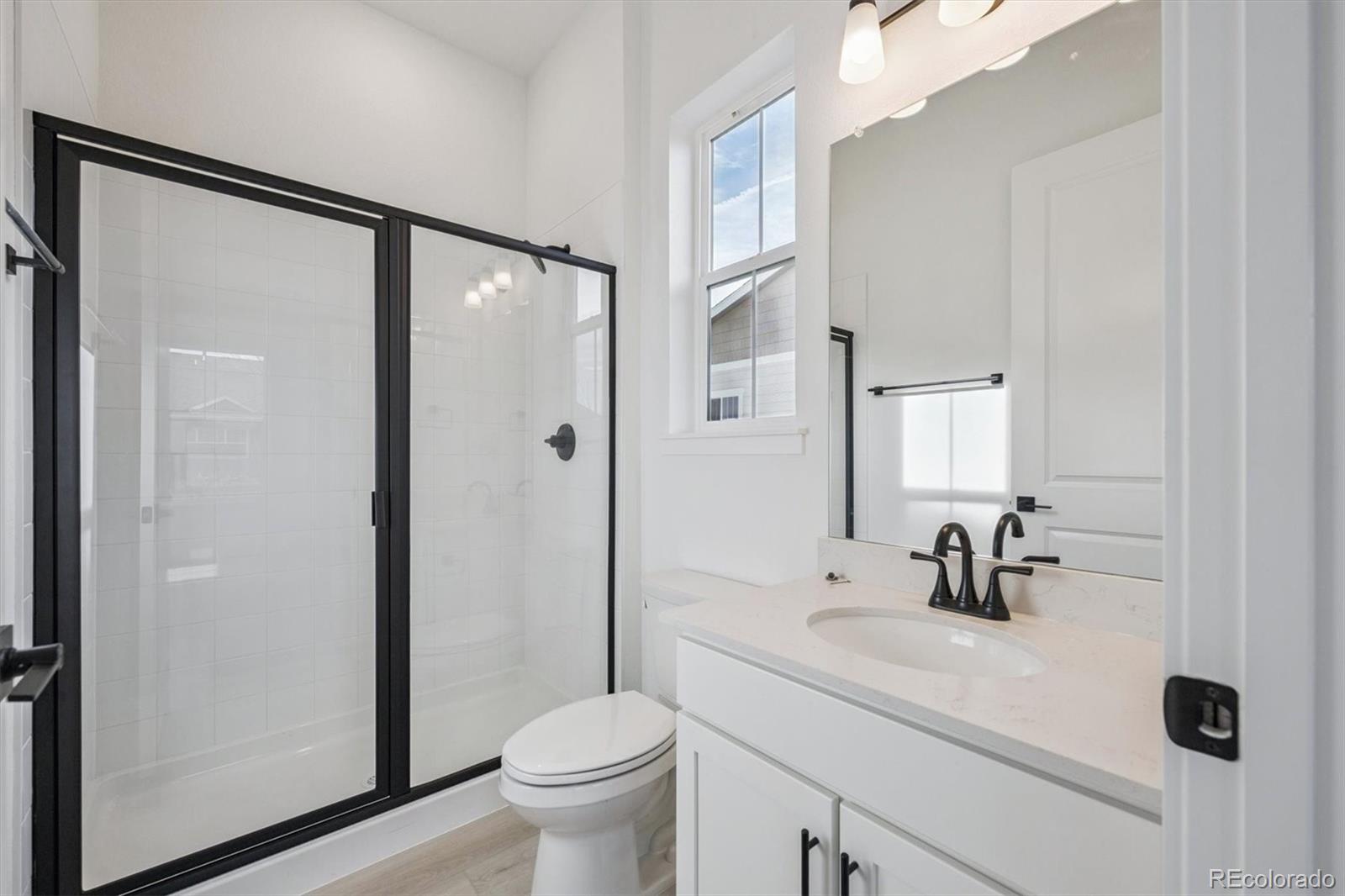 MLS Image #8 for 3801  emerald shore circle,loveland, Colorado