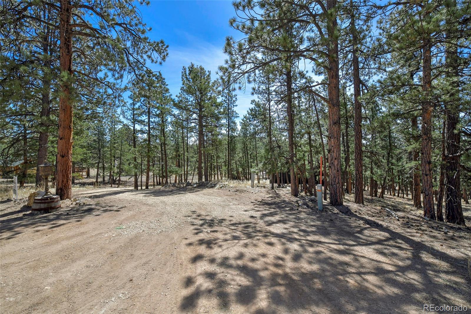 MLS Image #1 for 42  hannah circle,westcliffe, Colorado