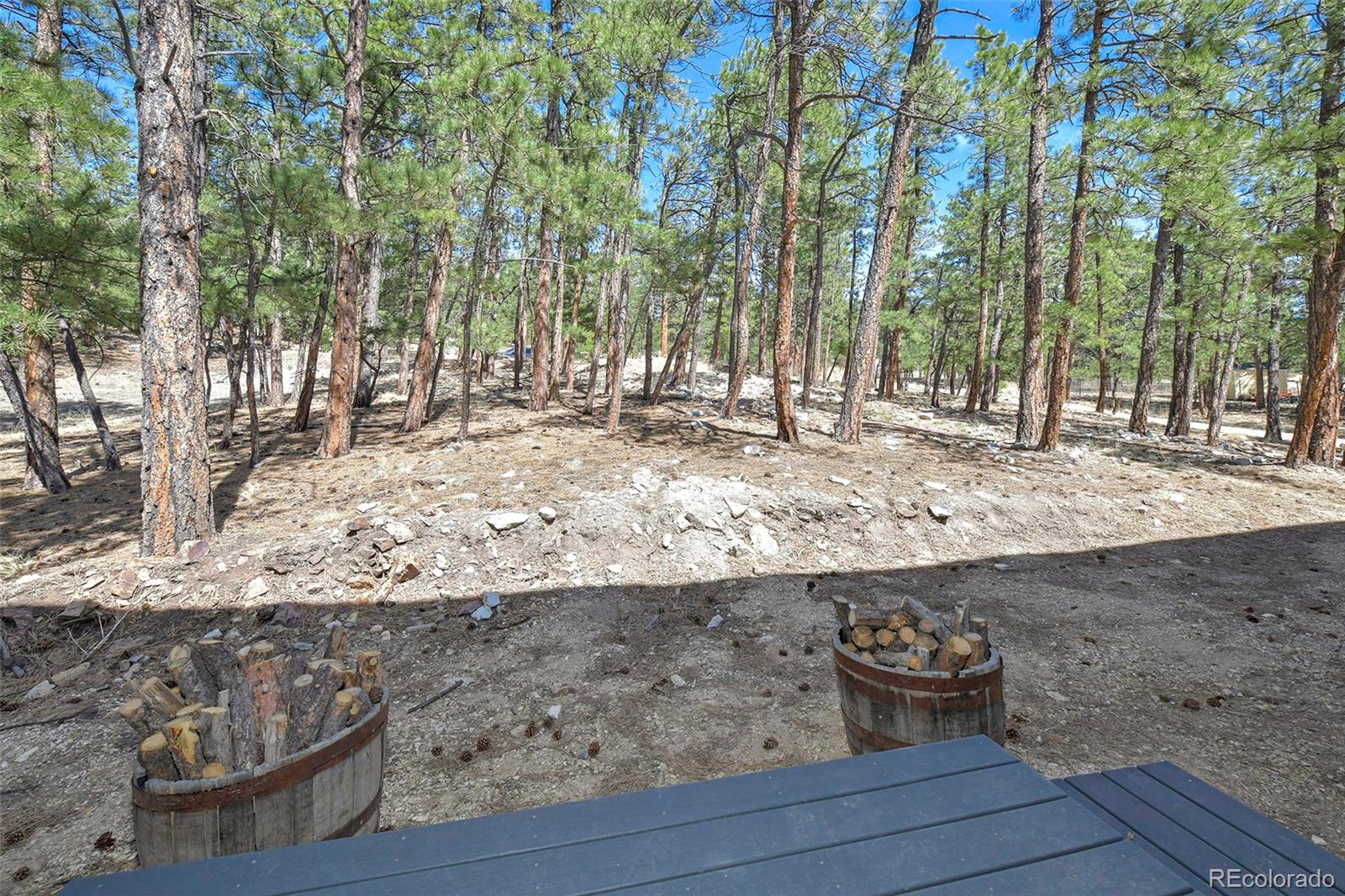 MLS Image #11 for 42  hannah circle,westcliffe, Colorado