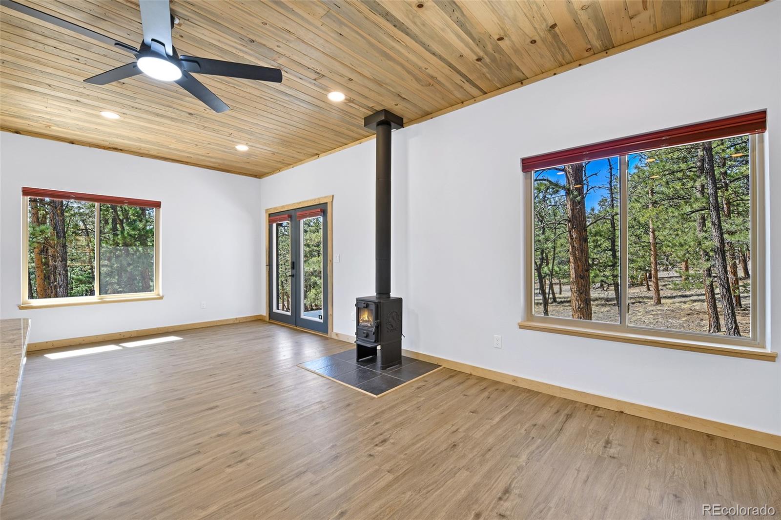 MLS Image #13 for 42  hannah circle,westcliffe, Colorado