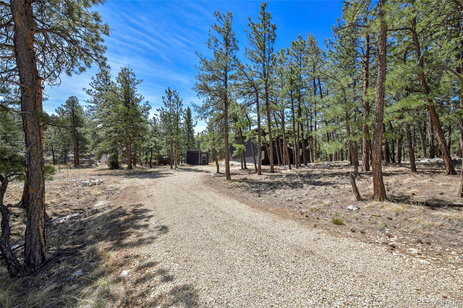 MLS Image #2 for 42  hannah circle,westcliffe, Colorado