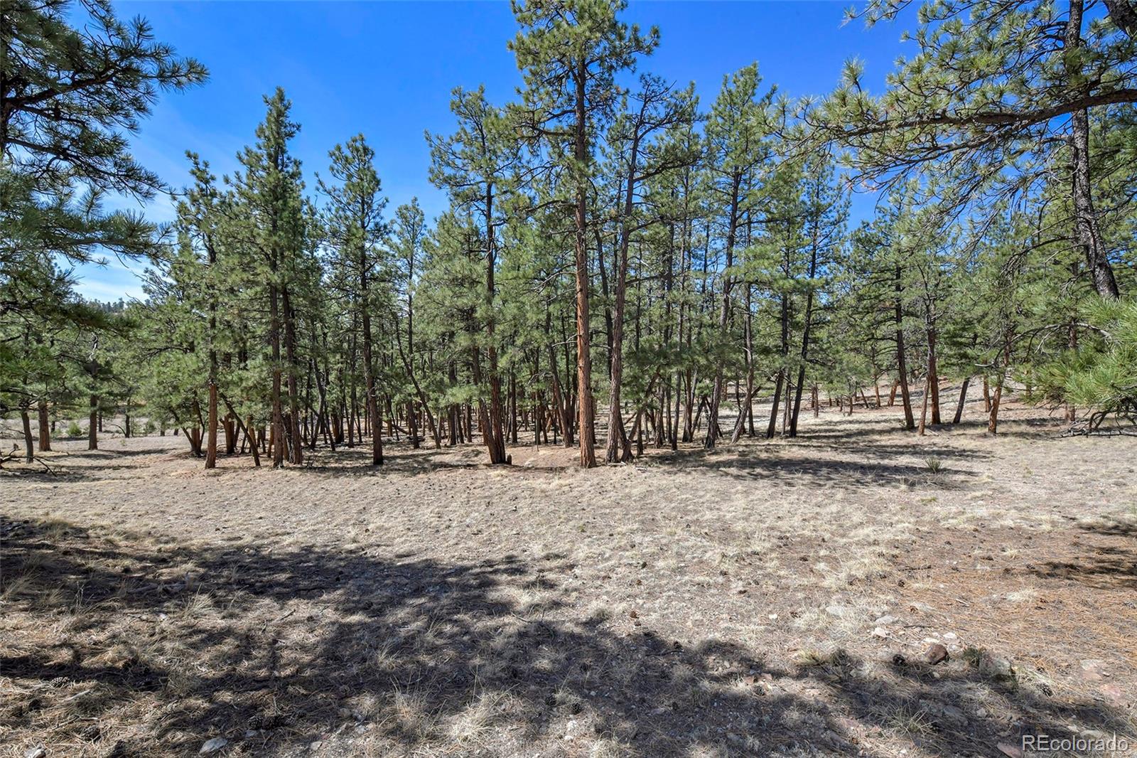 MLS Image #6 for 42  hannah circle,westcliffe, Colorado