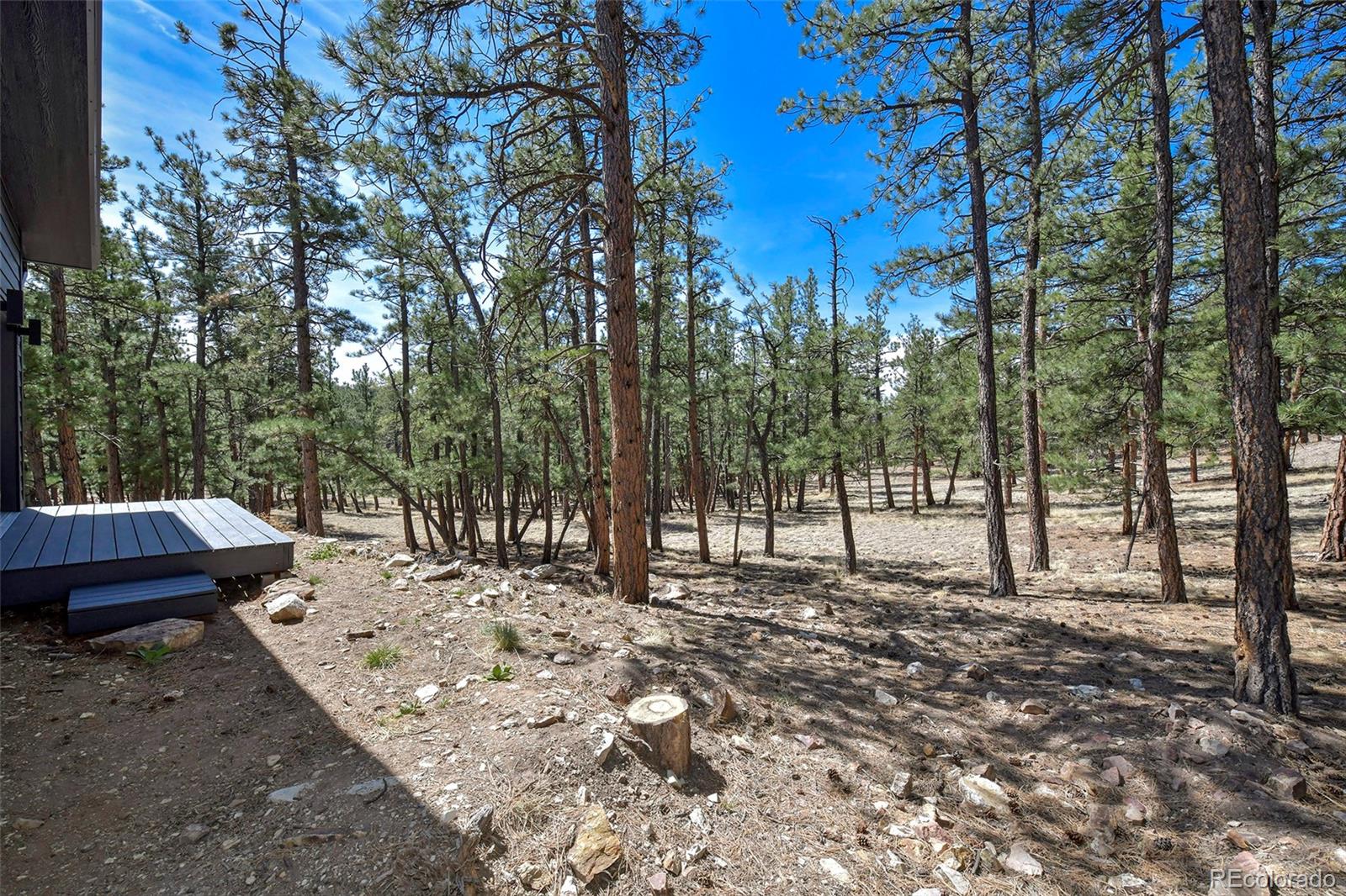 MLS Image #8 for 42  hannah circle,westcliffe, Colorado
