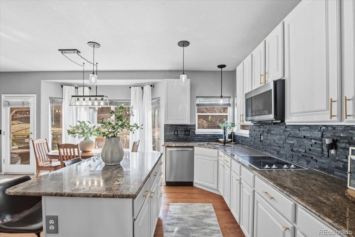 MLS Image #16 for 10330  lions path,lone tree, Colorado