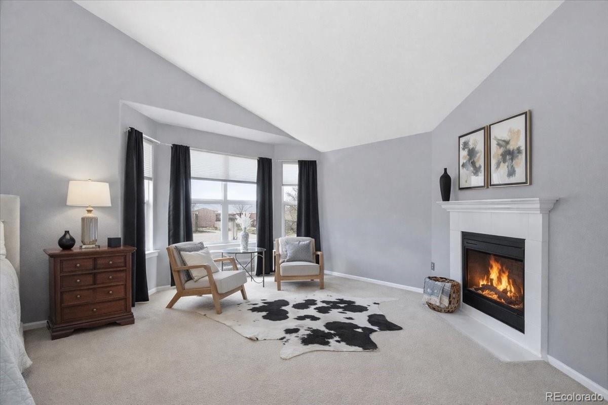 MLS Image #21 for 10330  lions path,lone tree, Colorado