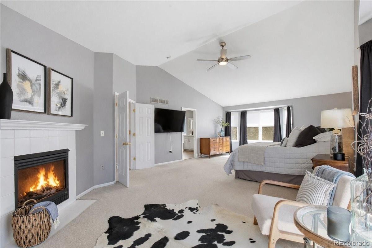 MLS Image #23 for 10330  lions path,lone tree, Colorado