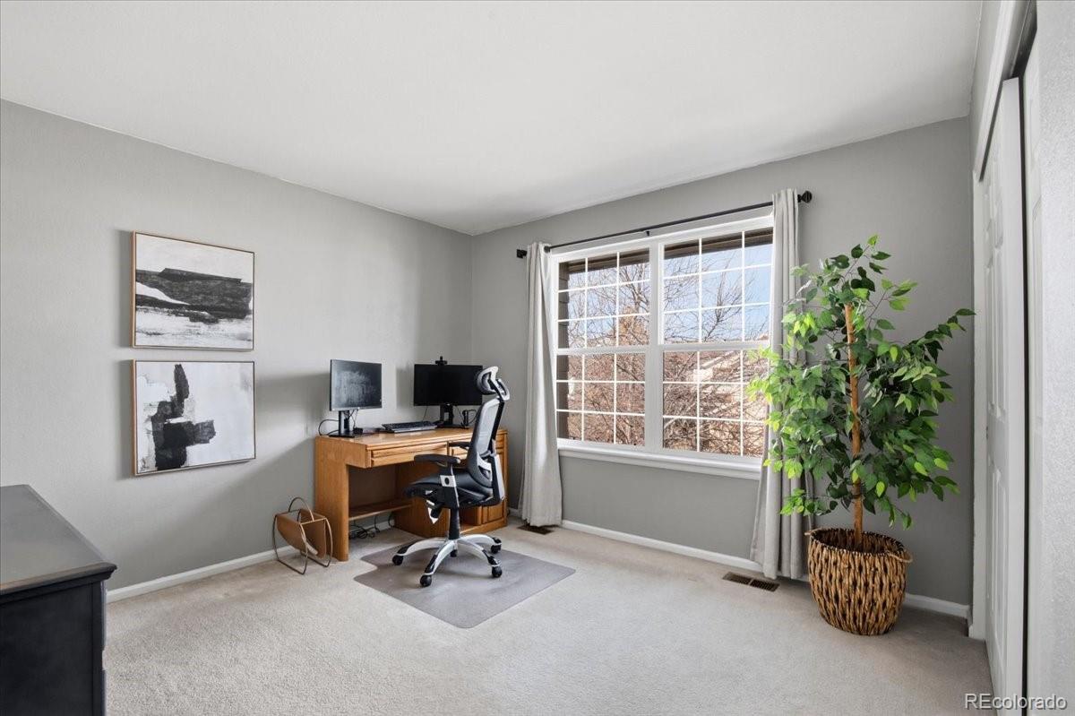 MLS Image #33 for 10330  lions path,lone tree, Colorado