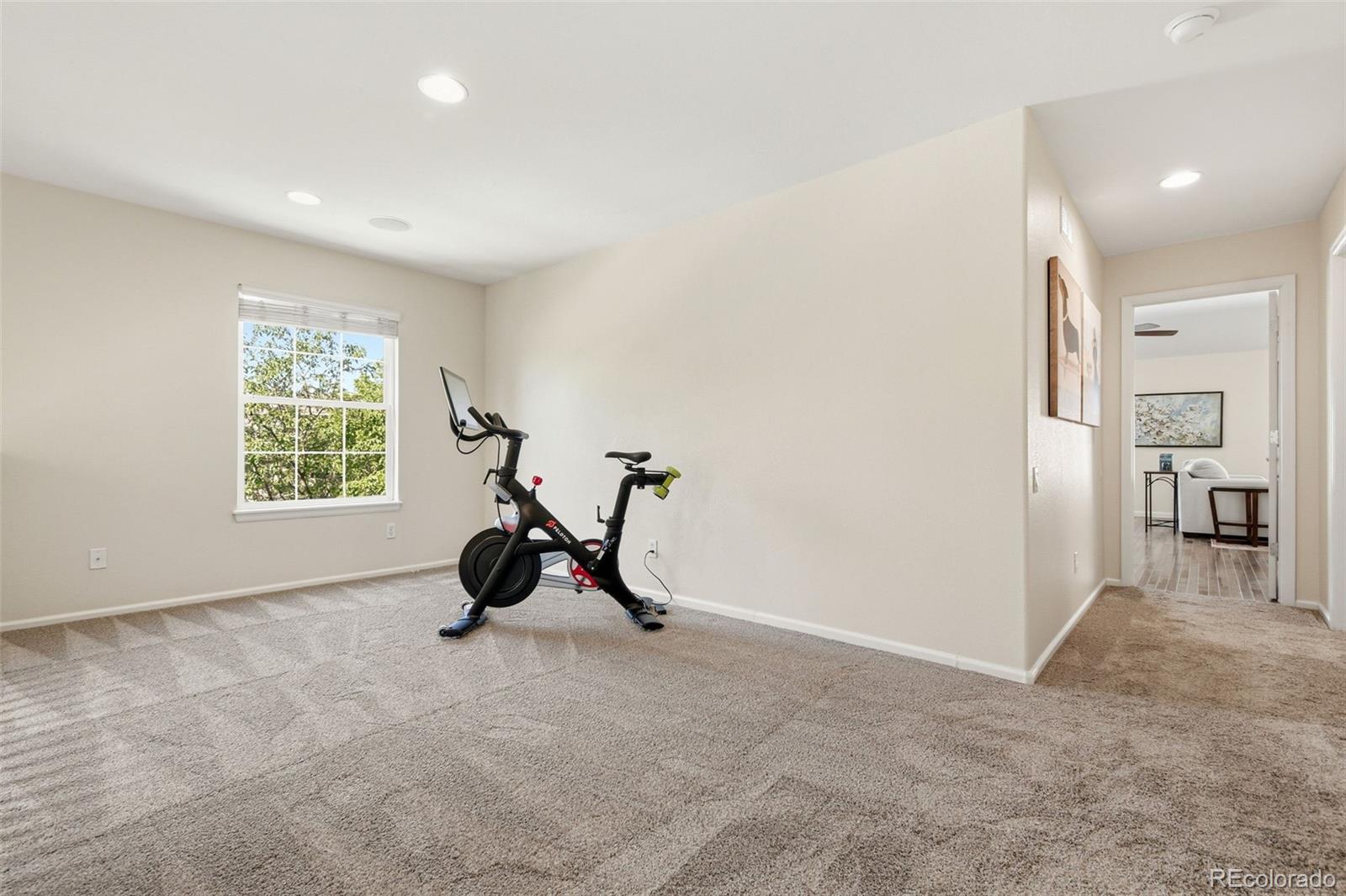 MLS Image #23 for 6364  torrey way,arvada, Colorado