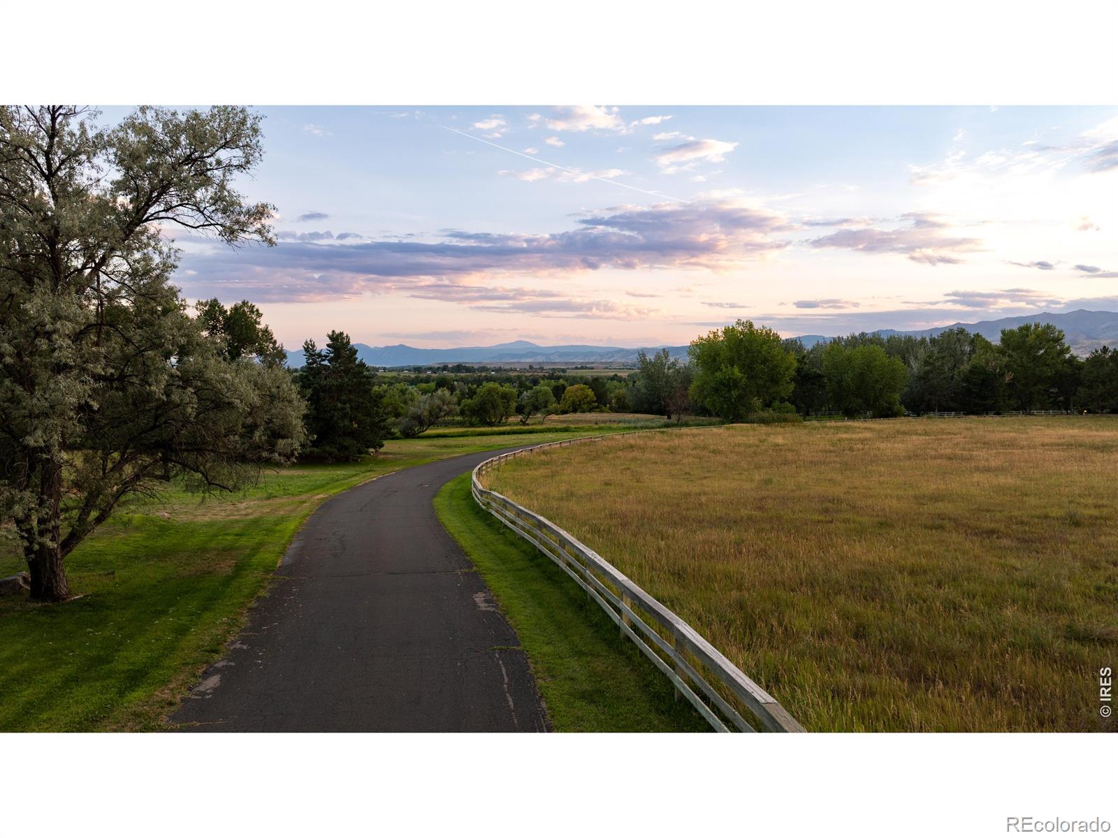 MLS Image #14 for 7009  rozena drive,longmont, Colorado