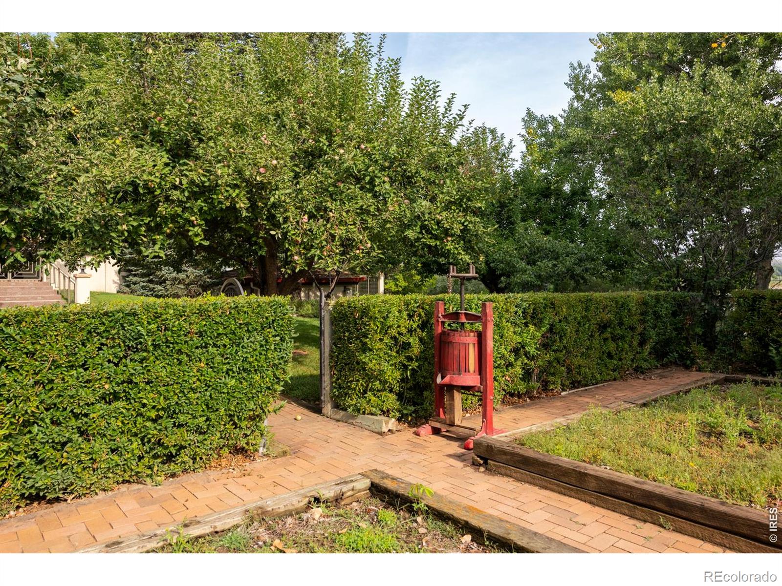 MLS Image #42 for 7009  rozena drive,longmont, Colorado