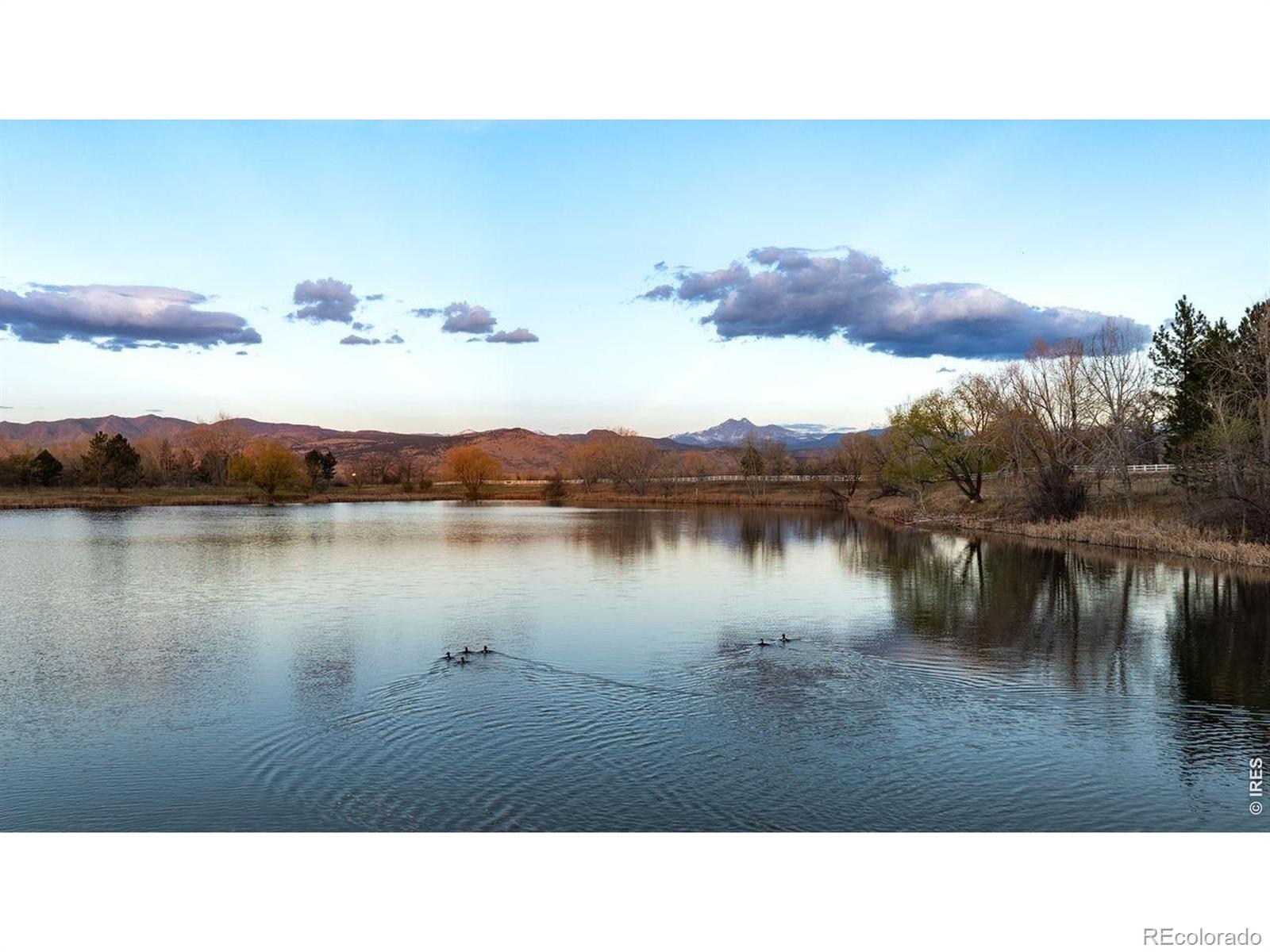 MLS Image #49 for 7009  rozena drive,longmont, Colorado