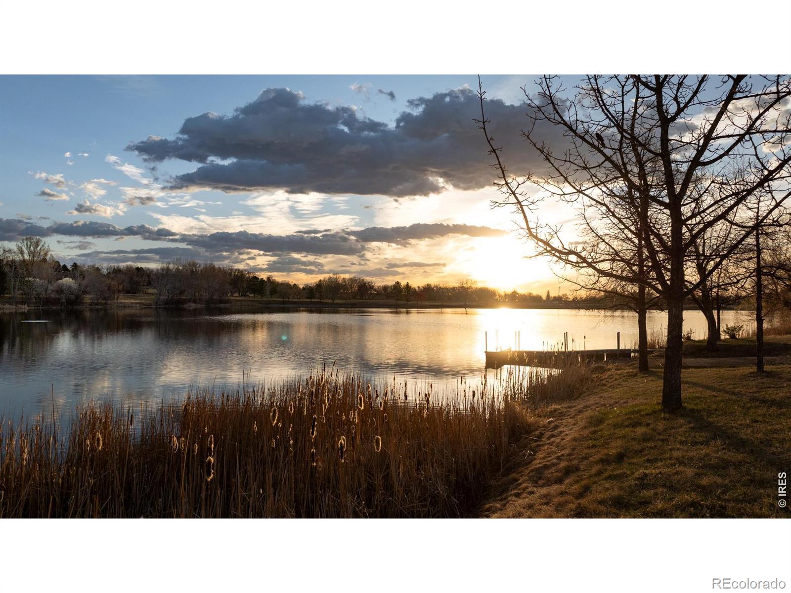 MLS Image #7 for 7009  rozena drive,longmont, Colorado