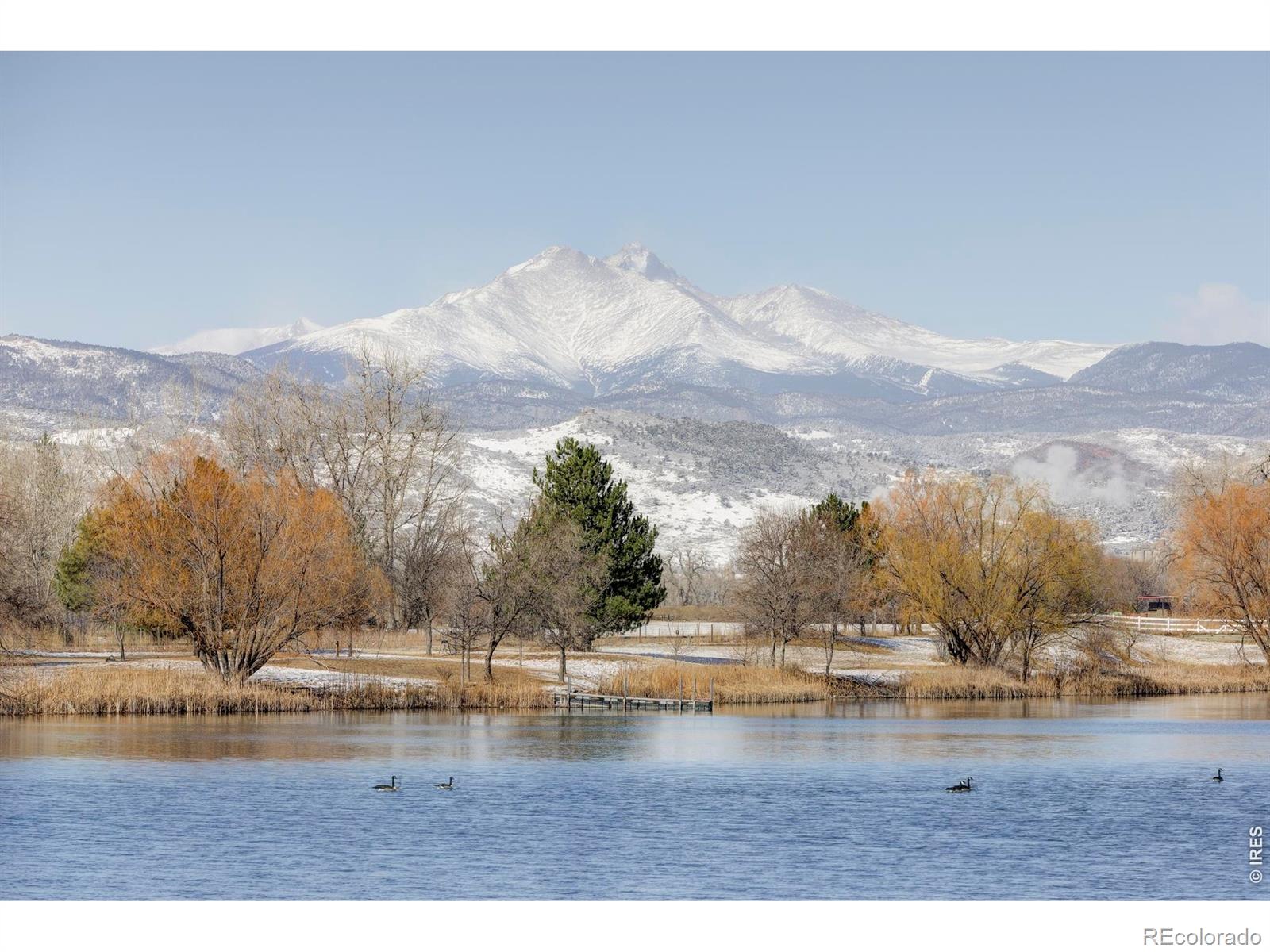 MLS Image #9 for 7009  rozena drive,longmont, Colorado