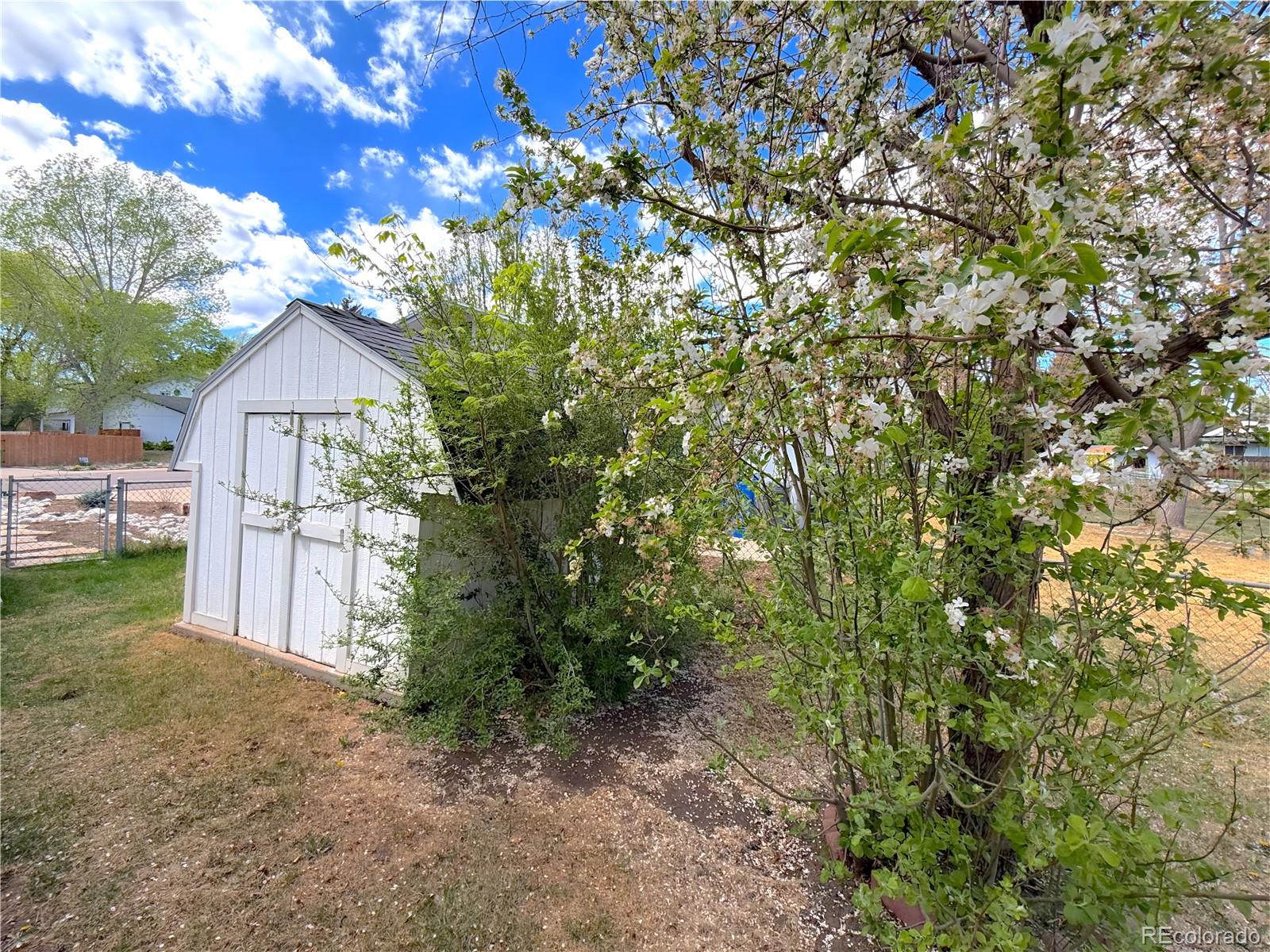 MLS Image #23 for 3032  tulane drive,fort collins, Colorado