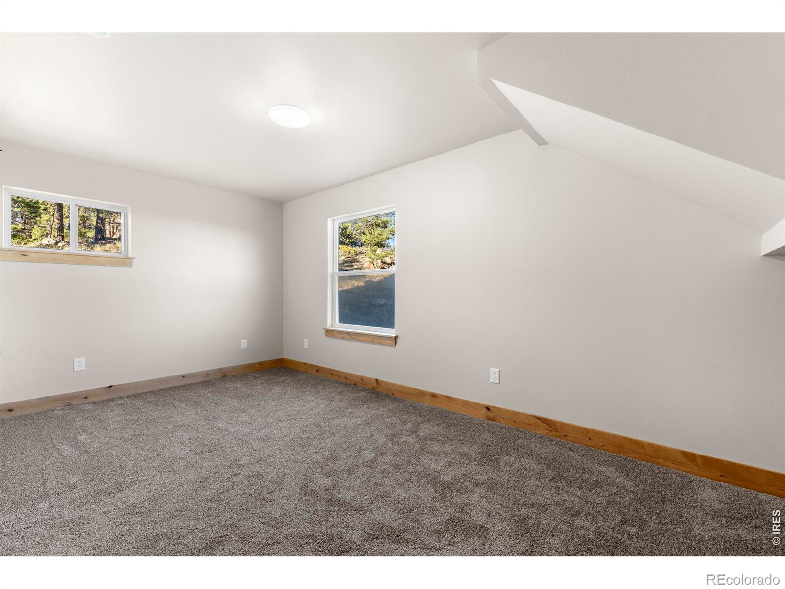MLS Image #15 for 1074  caddo road,red feather lakes, Colorado