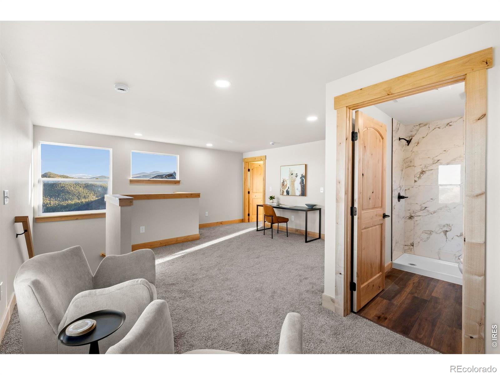 MLS Image #18 for 1074  caddo road,red feather lakes, Colorado
