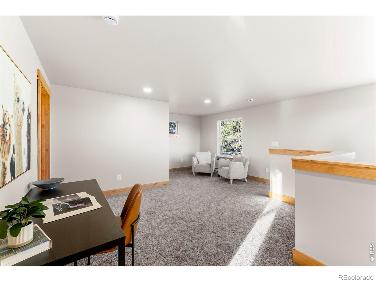 MLS Image #19 for 1074  caddo road,red feather lakes, Colorado
