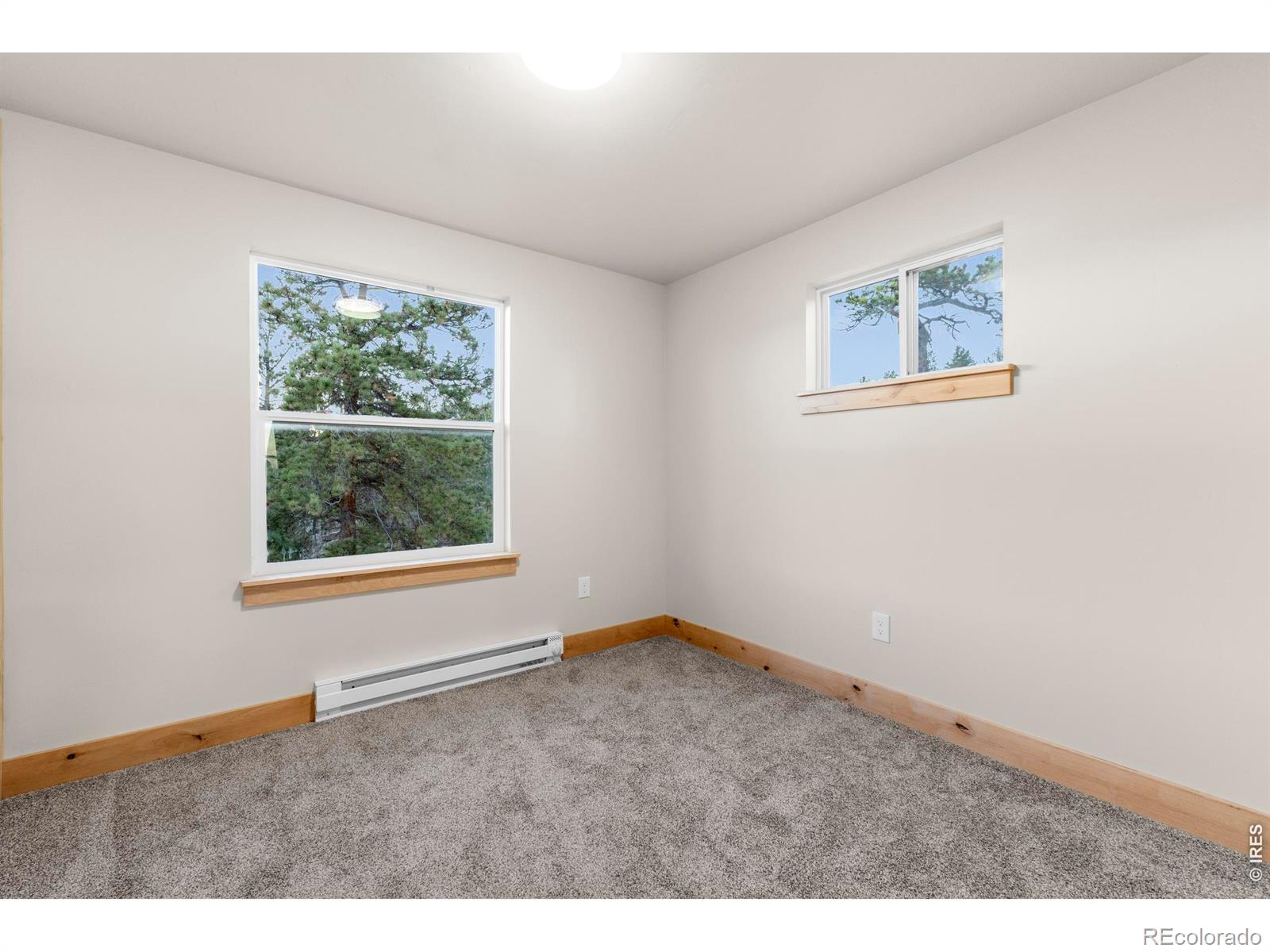 MLS Image #20 for 1074  caddo road,red feather lakes, Colorado