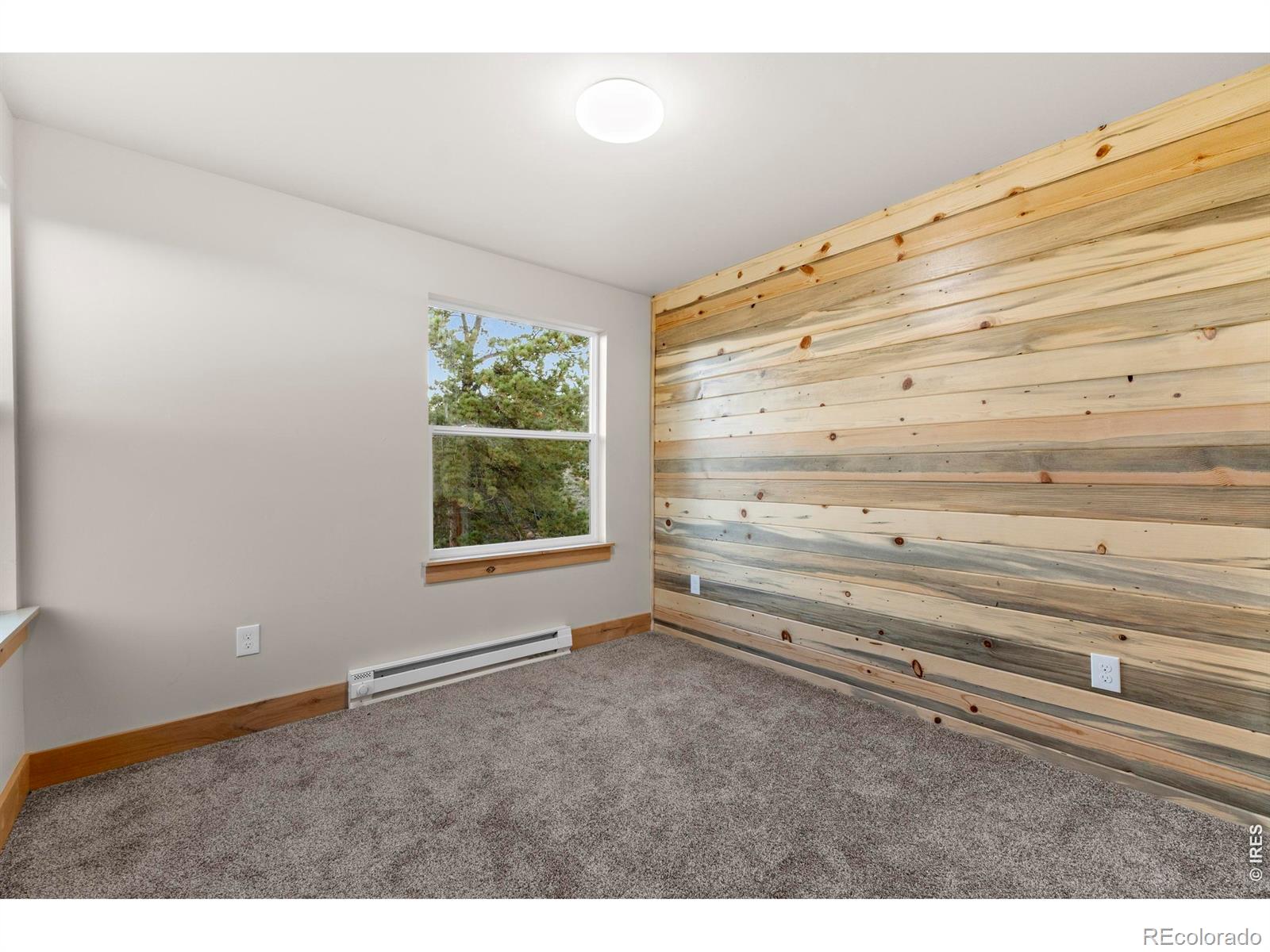 MLS Image #21 for 1074  caddo road,red feather lakes, Colorado