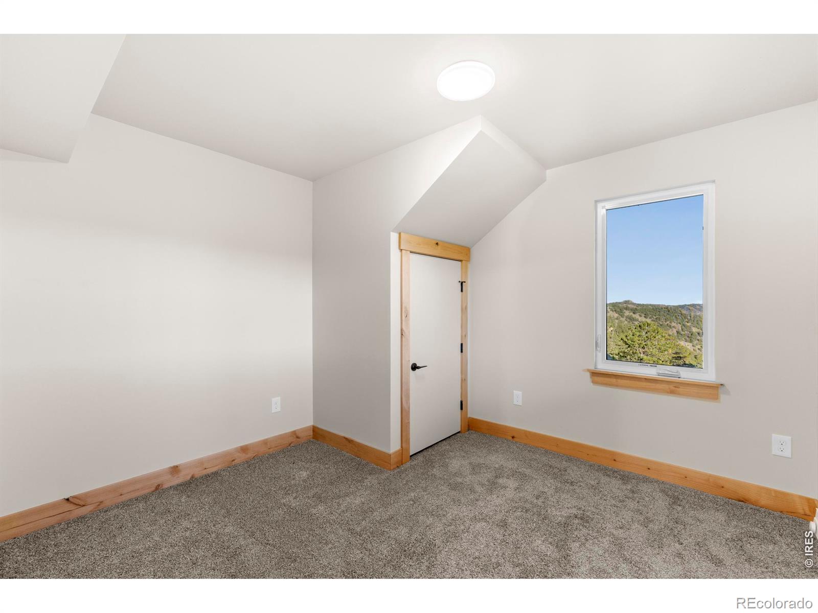 MLS Image #27 for 1074  caddo road,red feather lakes, Colorado