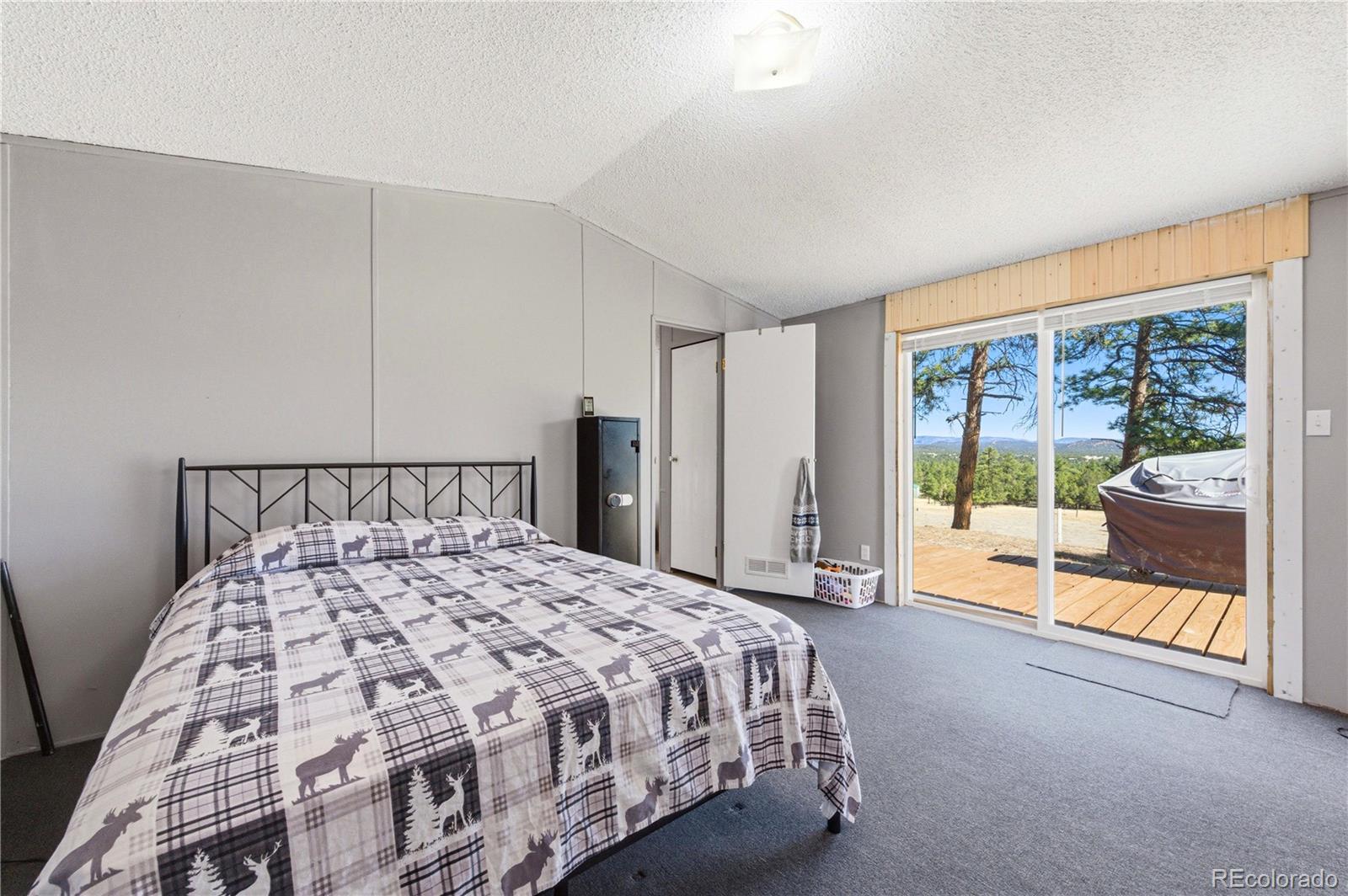 MLS Image #21 for 987  14th trail,cotopaxi, Colorado