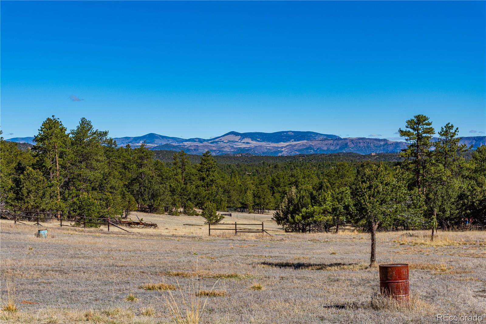 MLS Image #41 for 987  14th trail,cotopaxi, Colorado
