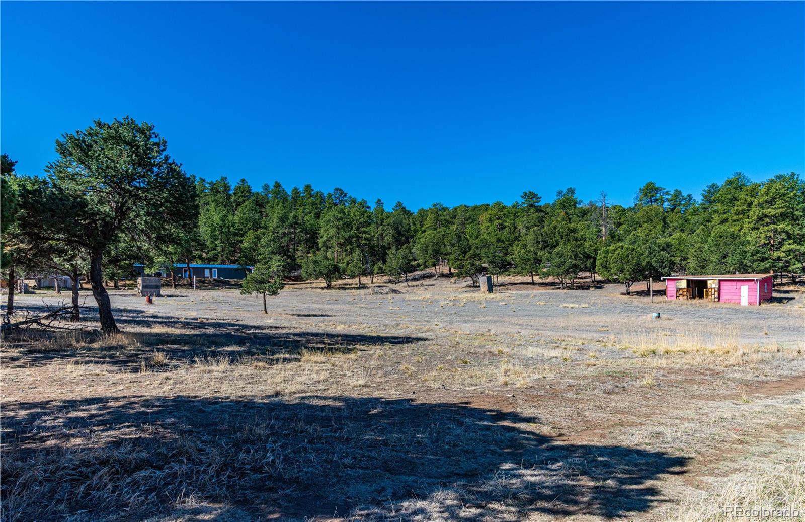 MLS Image #42 for 987  14th trail,cotopaxi, Colorado