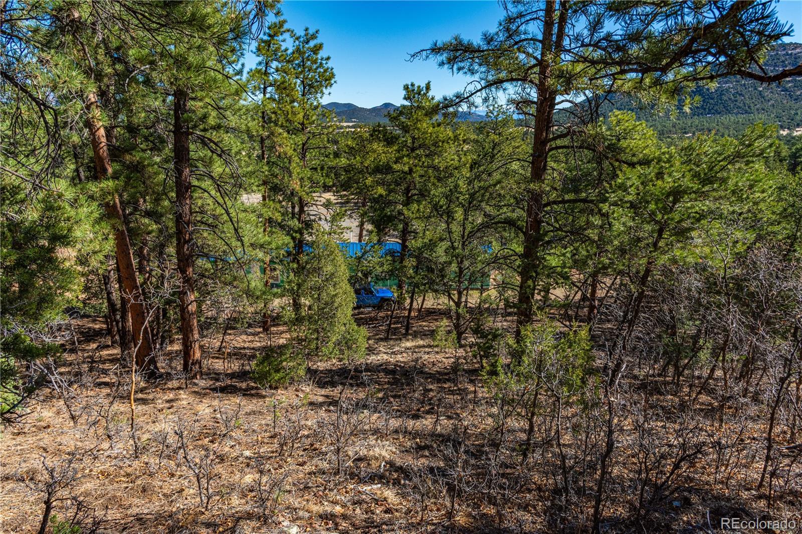 MLS Image #44 for 987  14th trail,cotopaxi, Colorado