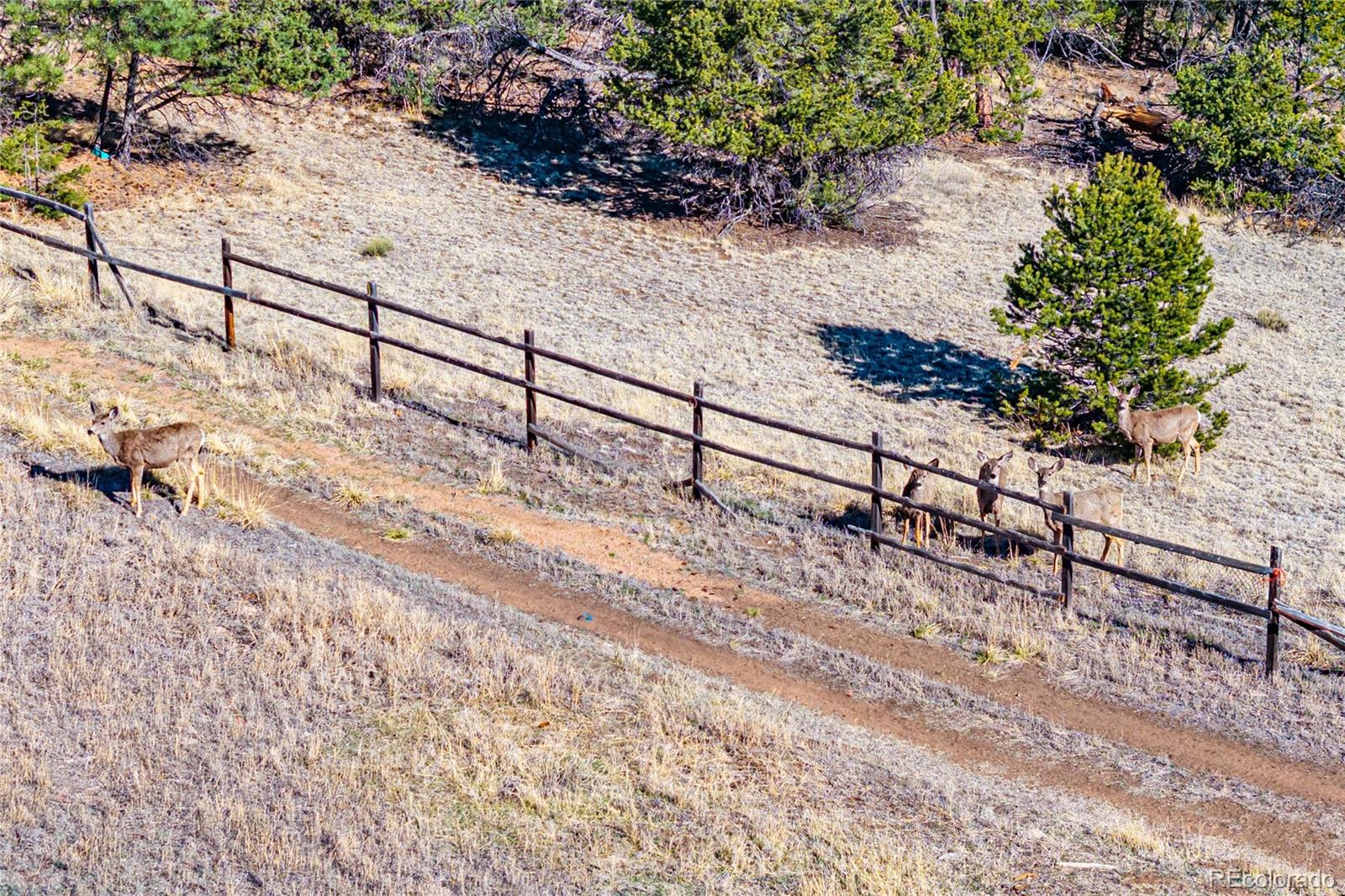 MLS Image #45 for 987  14th trail,cotopaxi, Colorado