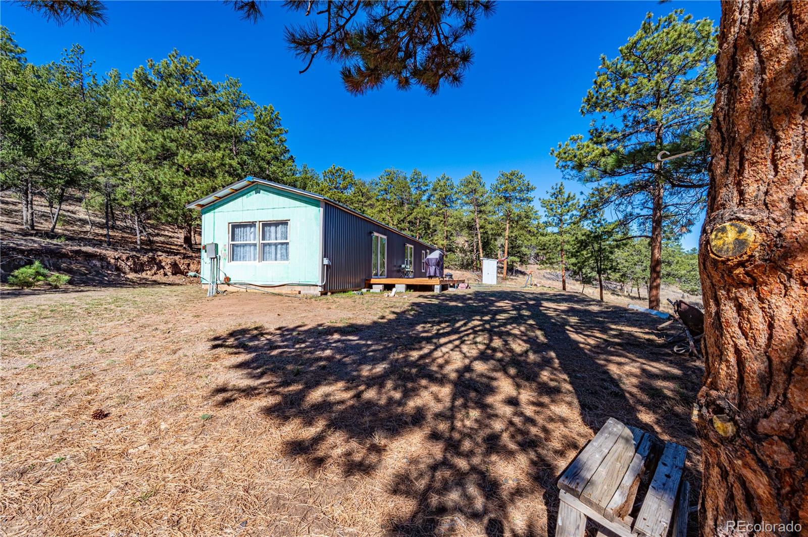 MLS Image #6 for 987  14th trail,cotopaxi, Colorado