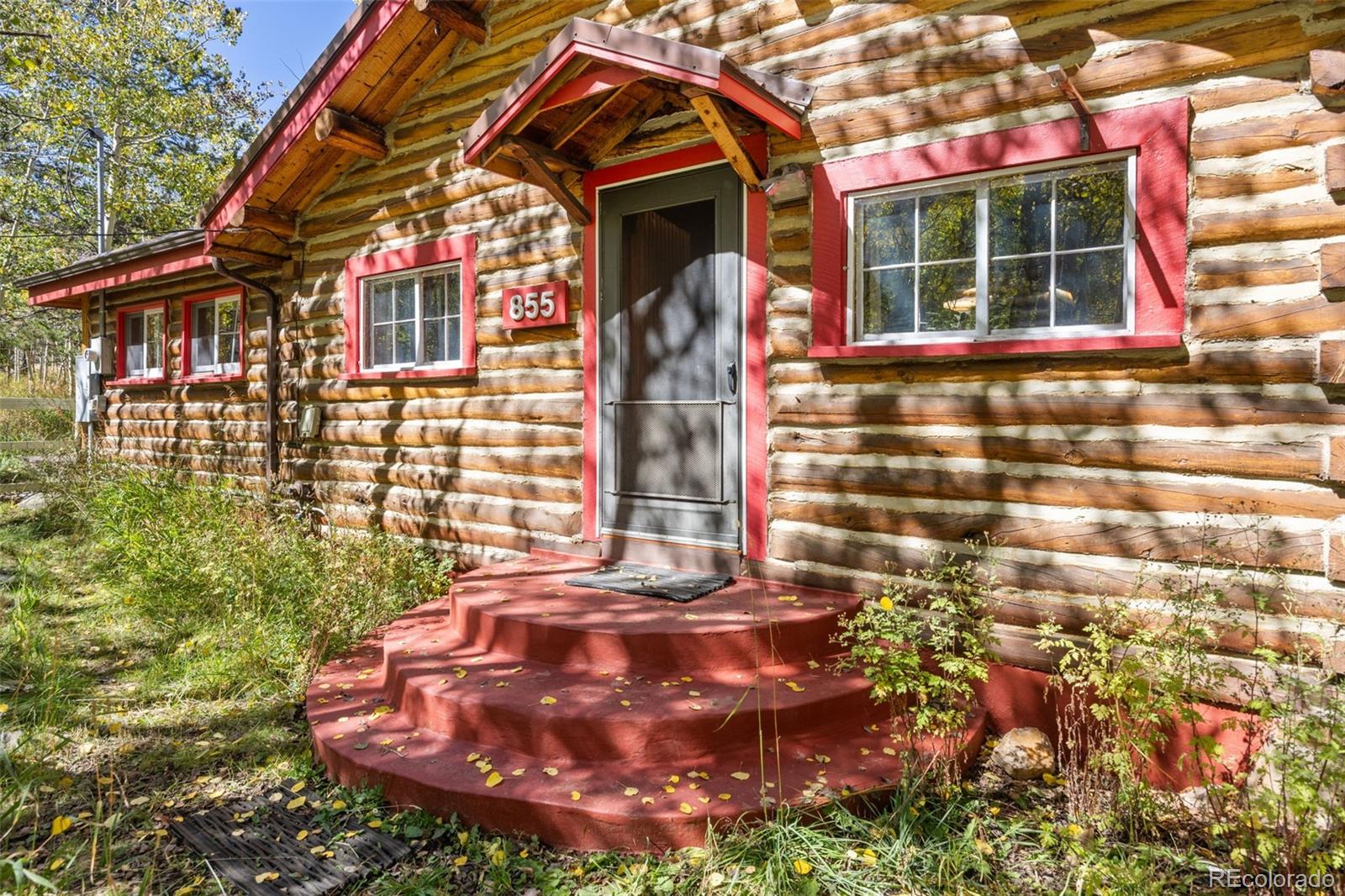 MLS Image #1 for 855  eldorado avenue,nederland, Colorado