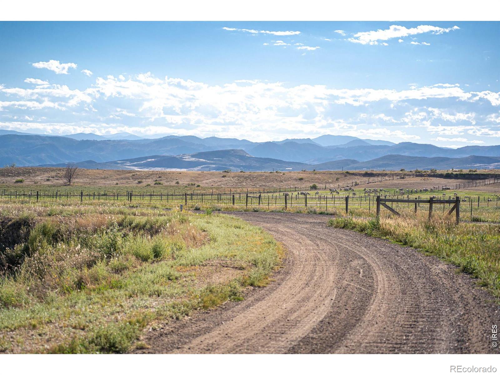 MLS Image #6 for 7600  rita lane,fort collins, Colorado