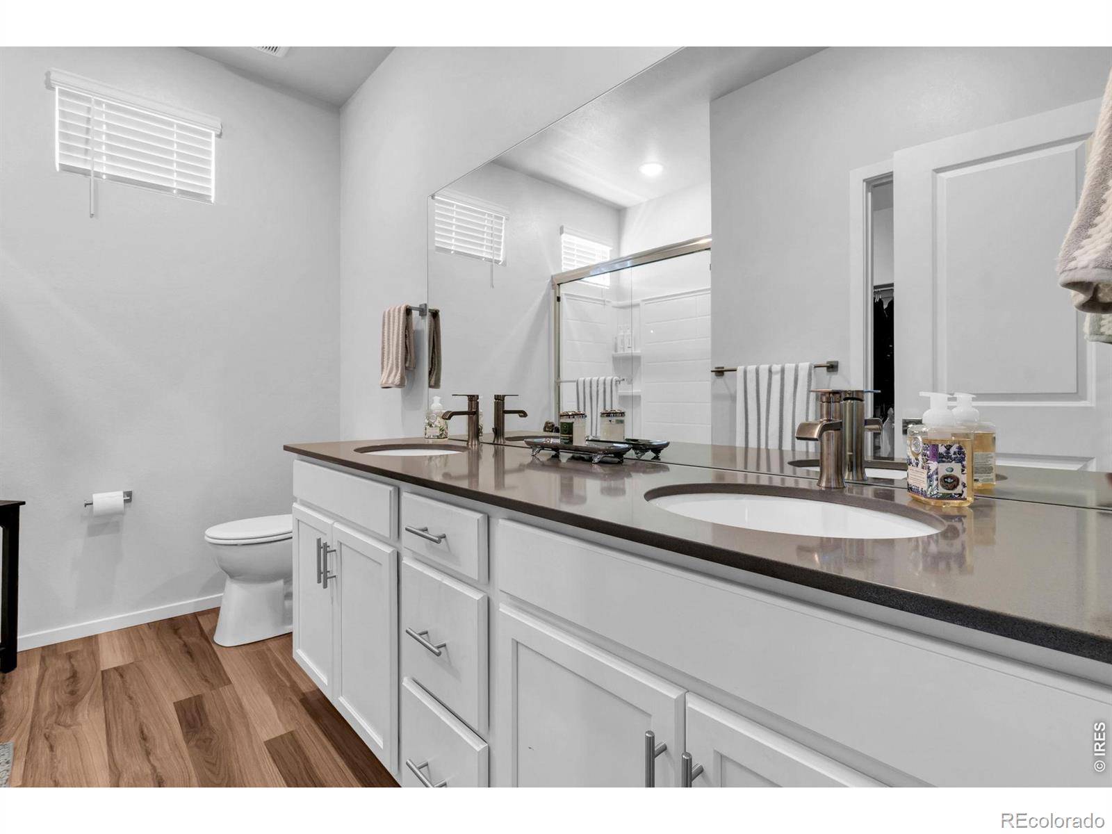 MLS Image #6 for 2702  barnstormer street,fort collins, Colorado