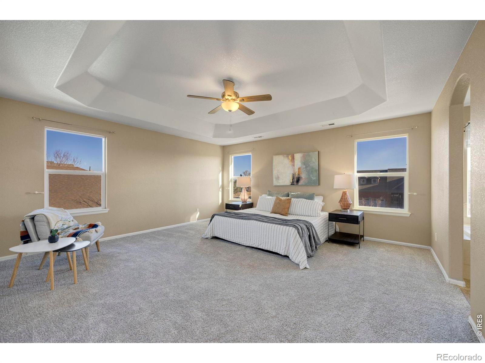 MLS Image #21 for 1555  benfleet court,windsor, Colorado