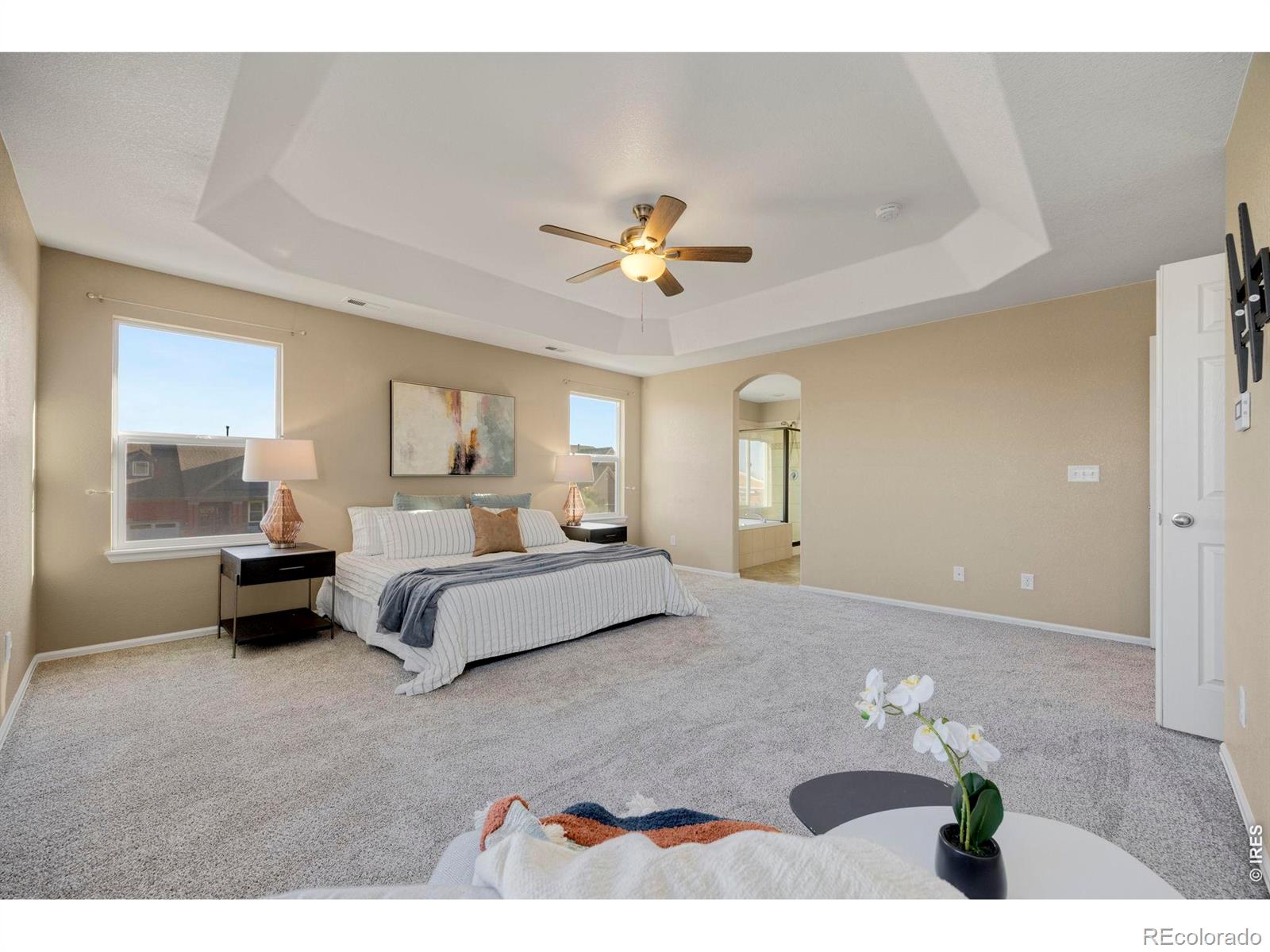 MLS Image #22 for 1555  benfleet court,windsor, Colorado