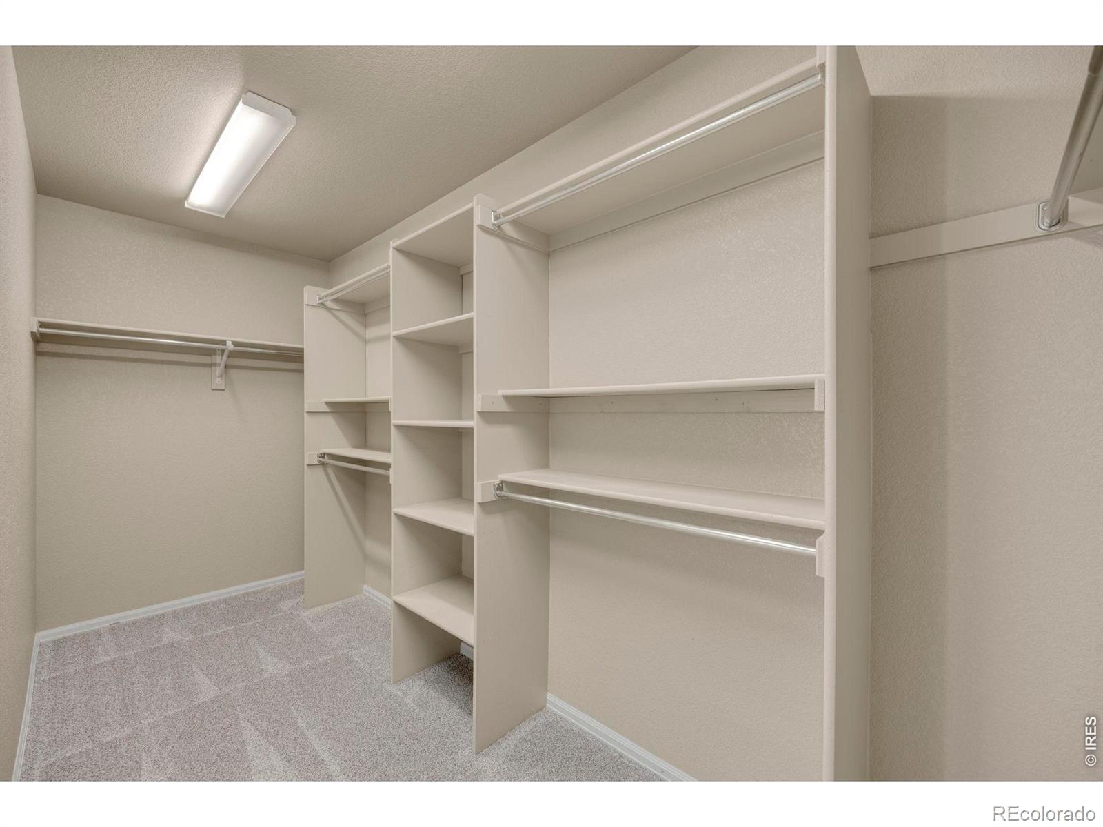 MLS Image #26 for 1555  benfleet court,windsor, Colorado