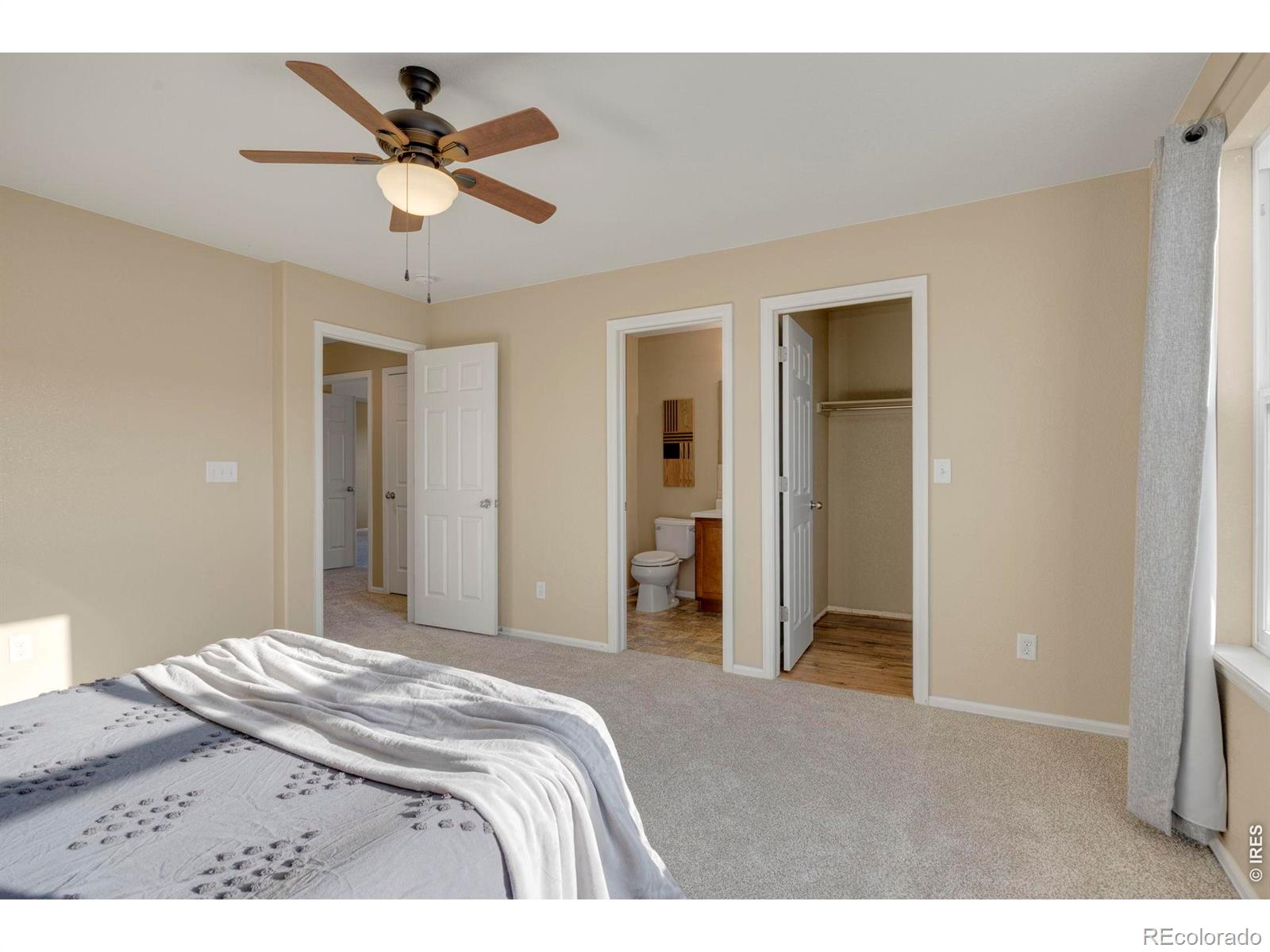 MLS Image #28 for 1555  benfleet court,windsor, Colorado